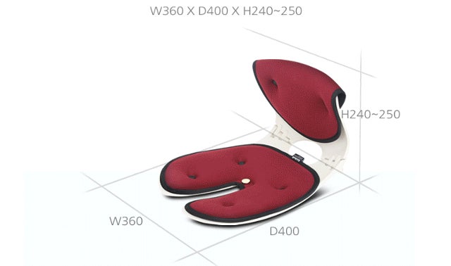 銀座の治療院監修！モニター調査90％以上実感。姿勢トレーニングチェア