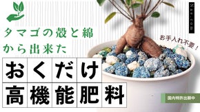 【Nae.com_cocoon】天然素材で出来たコクーン型カラフル植物生育剤