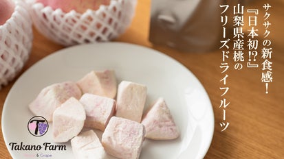 桃の香りと濃厚な味わいをいつでも堪能！山梨県産桃のフリーズドライ