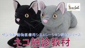 『ネコ触診教材』で１匹でも多くのネコを生体実習から減らしたい！
