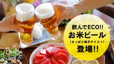 農家が野菜に合うクラフトビールを開発したい！お米の新たな可能性への挑戦