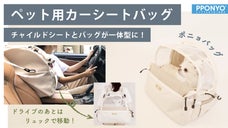 場所に合わせて自在！カーシートにもリュックにもなるペット用バッグ/ポニョバッグ