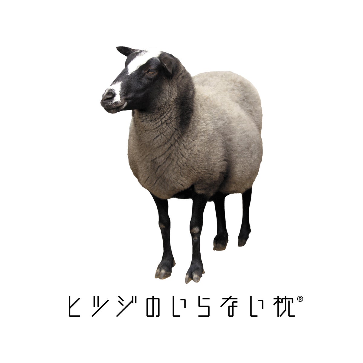 Makuake｜【2秒で寝落ち？！】オーダーメイドを超える！ぷにょんと密着