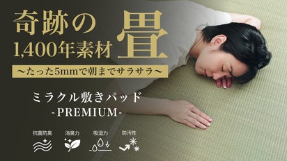 超消臭・高機能ミラクルピロー（パット付）