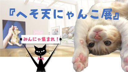 main_41879.png?version=