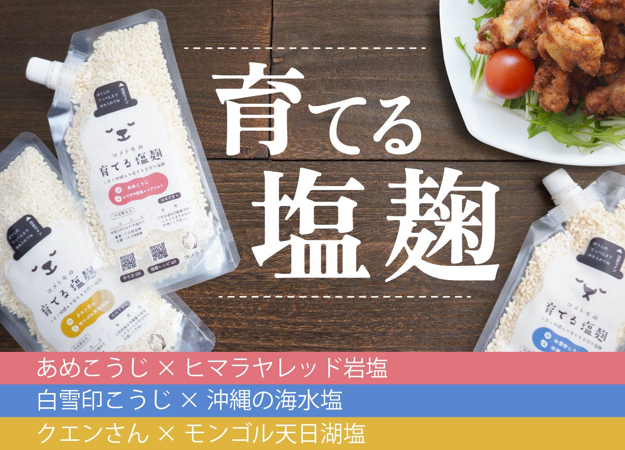 塩麹 塩麹（ヨーグルトメーカー） – Vitantonio