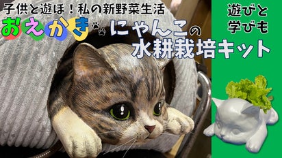 ☆希少·レア☆　新品未開封　季節のくるねこ便　全4巻セット ☆希少·レア☆ 新品未開封 季節のくるねこ便 全4巻セット