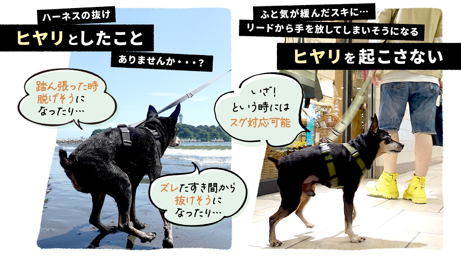犬用【本革】リード&ハーネス&ハンドフリーベルト3点セット 犬用【本革】リード&ハーネス&ハンドフリーベルト3点セット