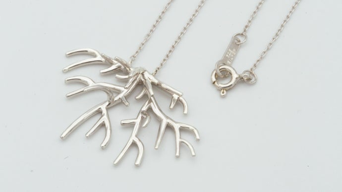 利益をサンゴ保全に寄付】沖縄の珊瑚を守るためのジュエリー誕生