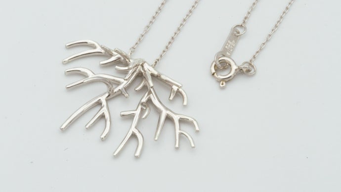 利益をサンゴ保全に寄付】沖縄の珊瑚を守るためのジュエリー誕生