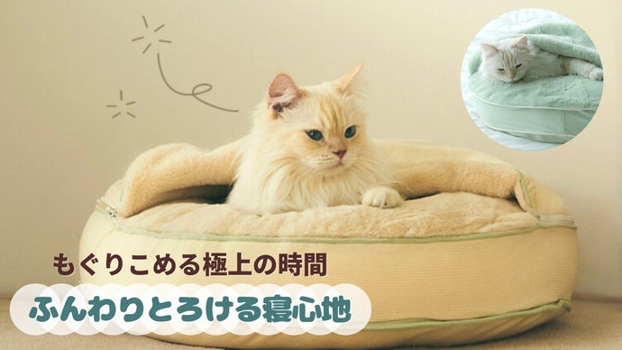 もぐりこめる極上の時間。一度もぐると抜け出せないクッション【arrr
