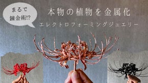 【第三弾】錬金術！？本物の葉っぱ、木の実、レースがそのままアクセサリーに！！