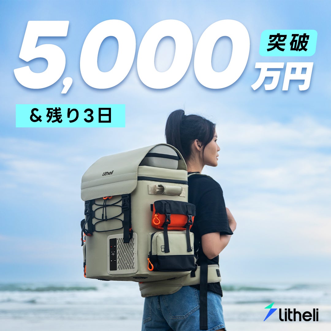 Litheli 車載冷蔵庫 16L -20℃～20℃ 急速冷凍 ポータブル冷蔵庫