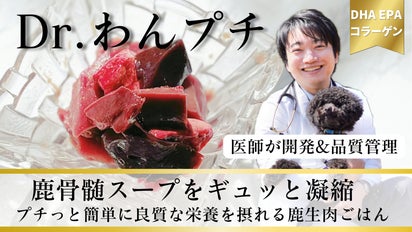 医師とフレンチシェフが開発！鹿の骨髄エキスを凝縮した生肉フードDr