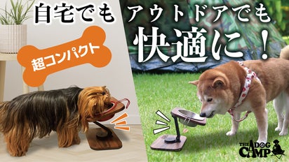 高さ×角度調整で愛犬の食事サポート！持ち運び便利なミニサイズフード