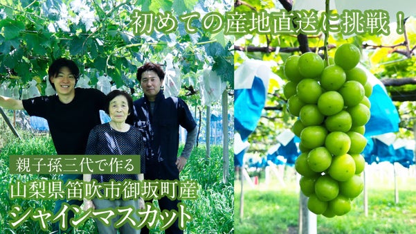初めての産地直送に挑戦！親子孫三代で作る「山梨県御坂町産シャインマスカット」
