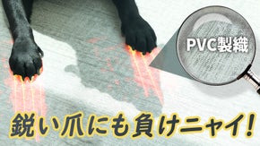 カミカミしても、引っ掻いても、引っ張っても、へっちゃら！やぶれにくい楽おりマット