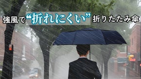 【強風特化の折りたたみ傘】強風域でも耐え抜く「エディンバラ」