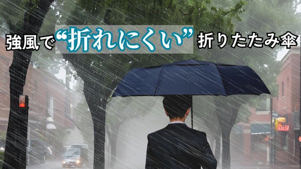 【強風特化の折りたたみ傘】強風域でも耐え抜く「エディンバラ」