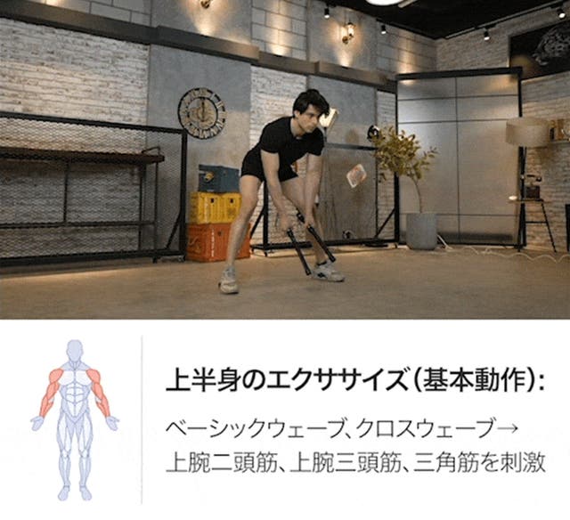 アンコール】究極の運動効果！家で手軽にロープレスバトルロープ