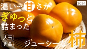 【フルーツ大国・和歌山県紀の川市から農家直送】こだわりのあま〜い、きよ農園の柿！