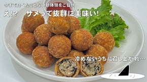 無味・無臭！? でも美味しく食べれる！河上水産のサメを使用したコロッケ