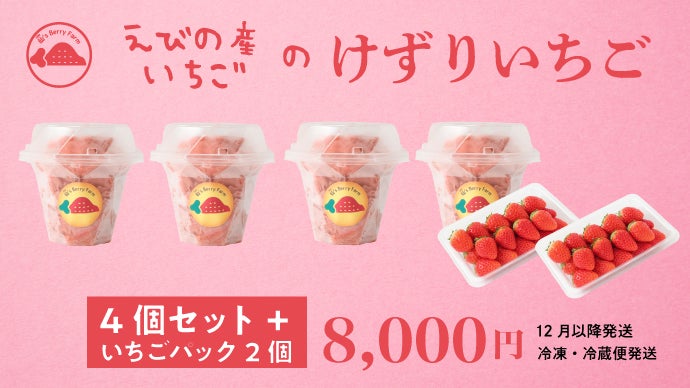 宮崎県えびの産いちごの美味しさがぎっしり】けずりいちご｜マクアケ