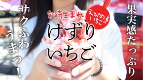 【宮崎県えびの産いちごの美味しさがぎっしり】けずりいちご