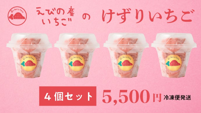 宮崎県えびの産いちごの美味しさがぎっしり】けずりいちご｜マクアケ