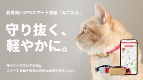 極小サイズの20g。愛猫との一生を守る。｜愛猫向けGPSスマート首輪ねこなら
