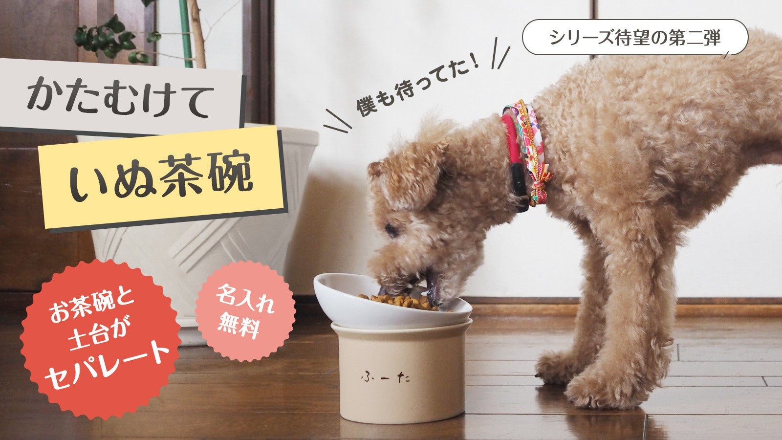 茶道具　犬茶碗 Amazon | 茶碗 柴犬 犬好き 飯椀 飯器/ふろしき豆柴中平茶碗（緑