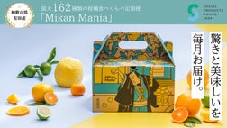 美味しい有田みかんを堪能！最大162種類の柑橘食べくらべ定期便