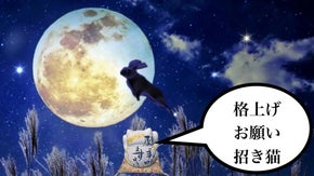 化学の招き猫　&rdquo;格上げお願い招き猫&rdquo;　　　 アタラシイ製造方法　 無限のDIY？