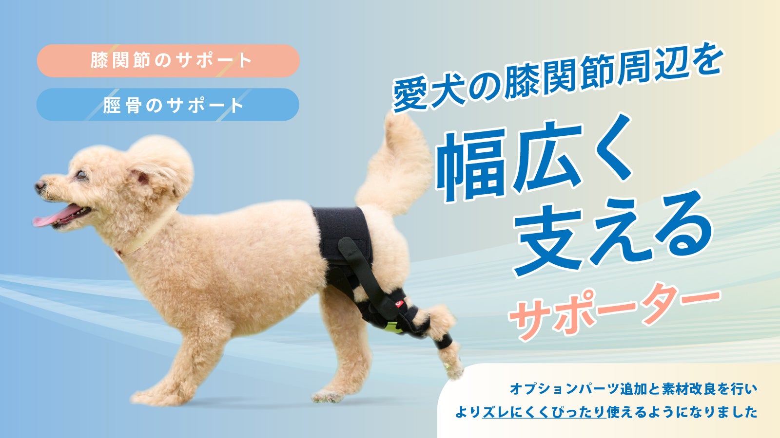 愛犬の膝関節周辺を【幅広く支える】サポーター“アニサポ ニー