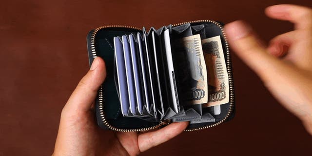【新品未使用】ラウンドZIPミニ財布 SATTO Pro お札は折らず・膨れない新構造を実現したラウンドZIPミニ財布
