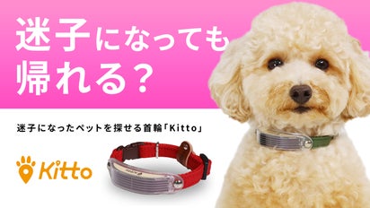 全然使うことないね」が1番の願い、ペットの迷子探しができる首輪 