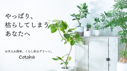 枯れにくい植物への挑戦。必要な光を抑え、室内で育つ新観葉植物