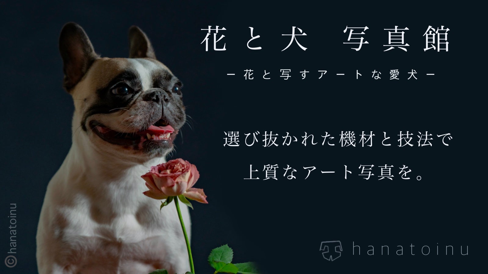 愛犬家に贈る！「花と犬」写真館｜マクアケ - アタラシイものや体験の