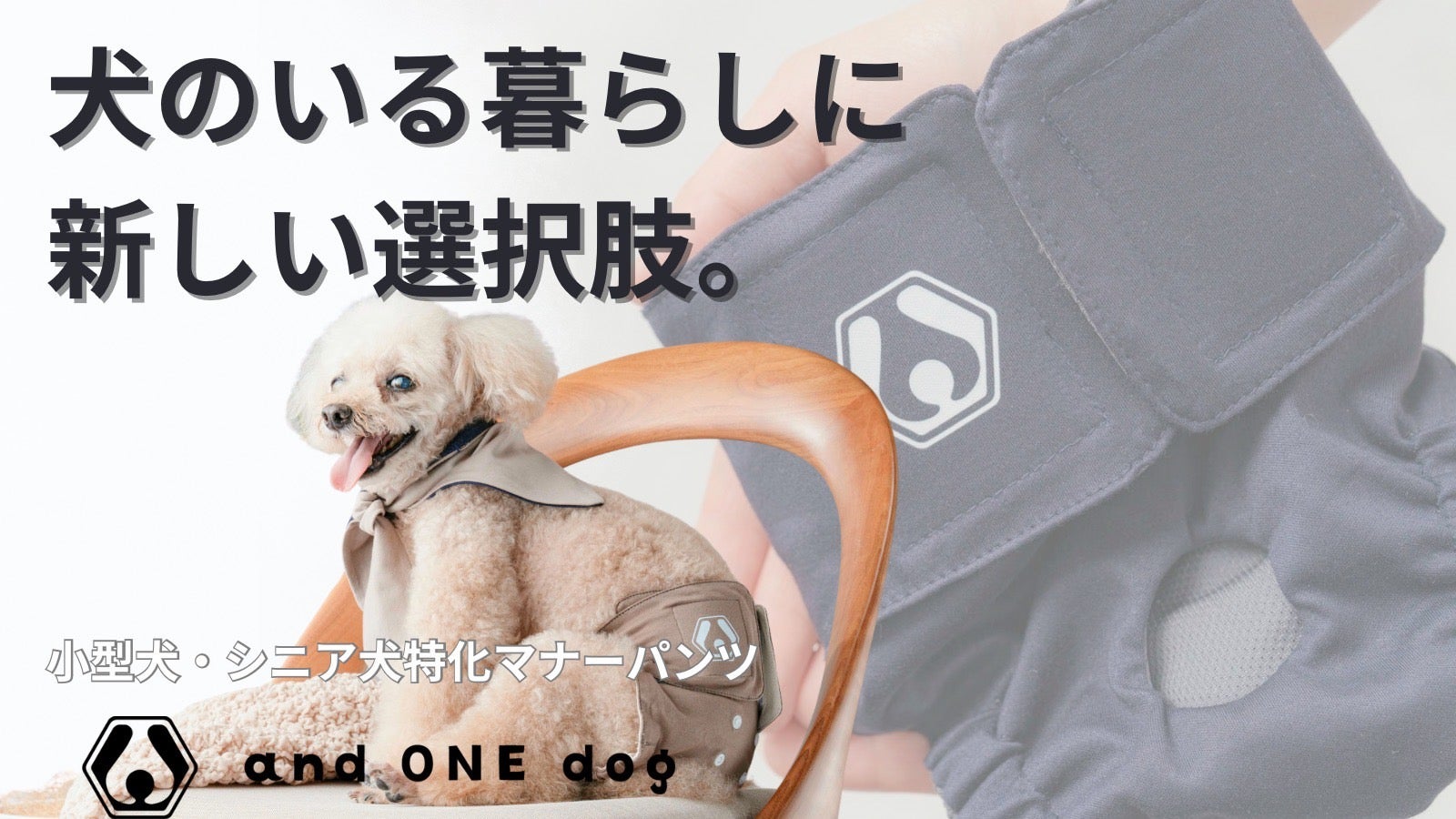 優しい触り心地で思いやる。獣医師監修【小型犬・シニア犬】極上マナー