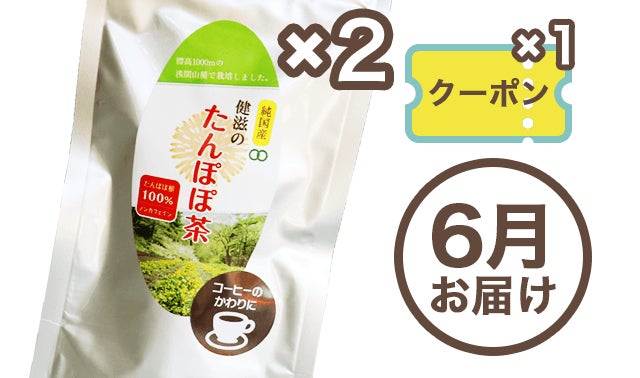 根っから国産のたんぽぽ茶」たんぽぽ農家が育てた たんぽぽの根が原料