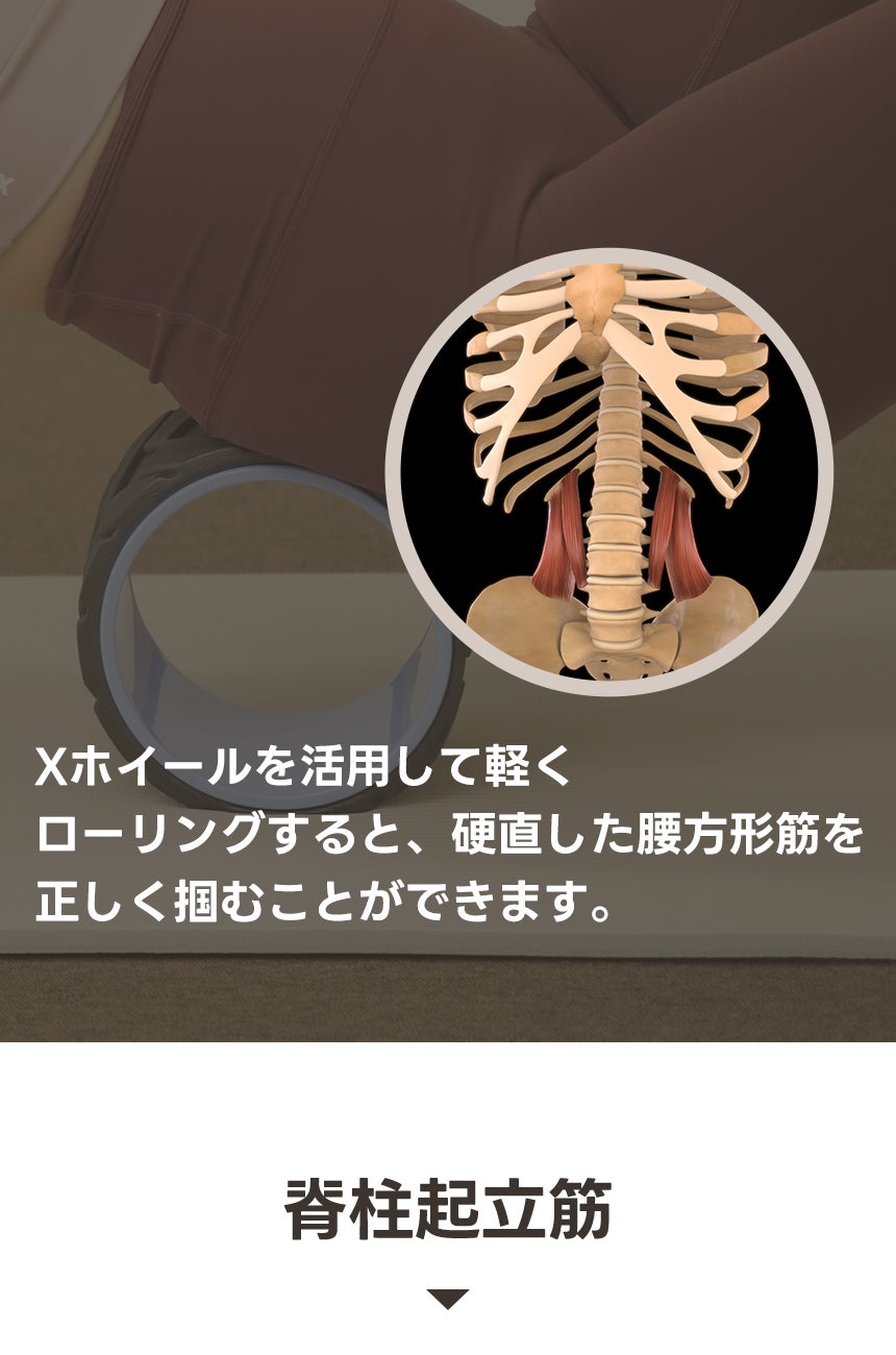 SNS映える話題のヨガ・Xホイール！3in1背中をゴリゴリするだけで脊椎