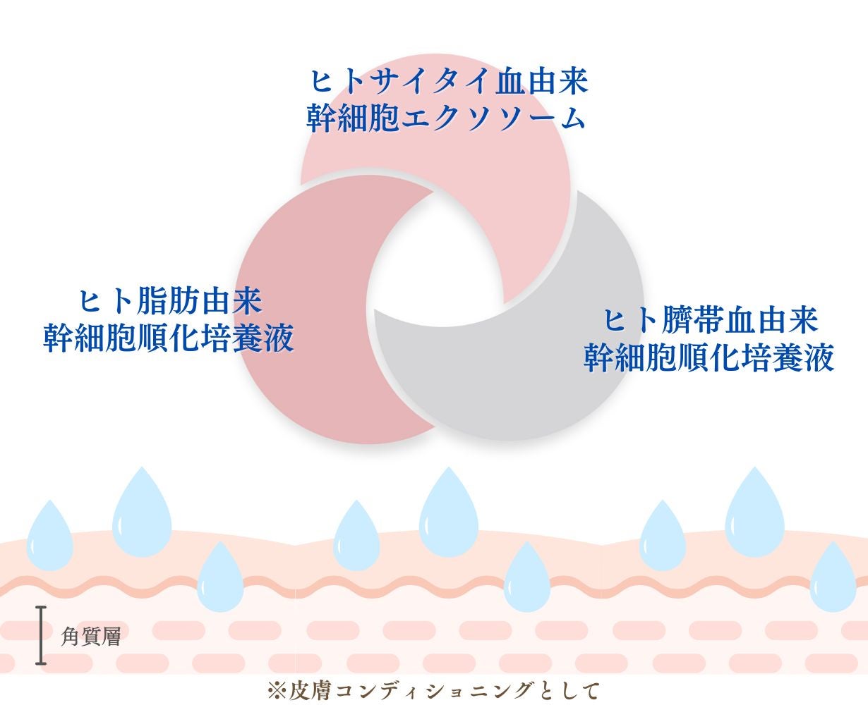ヒトサイタイエクソソーム×ヒト臍帯血細胞順化培養液×ヒト脂肪由来