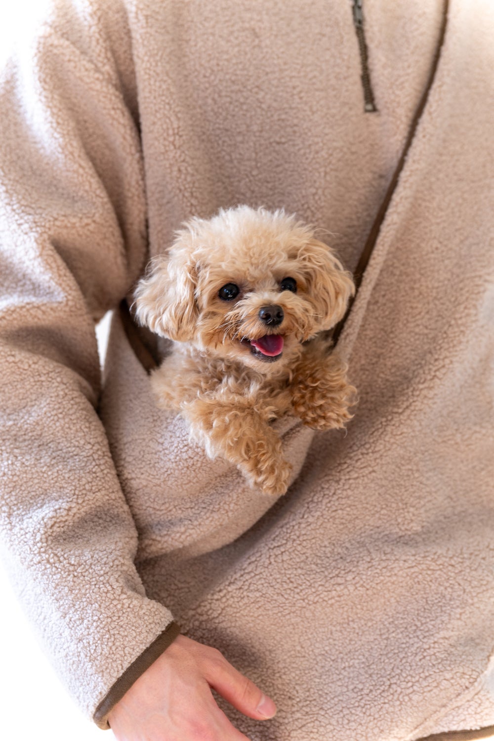 カンガルーポケット】愛犬がポケットに入るお洋服 コミュニケーション