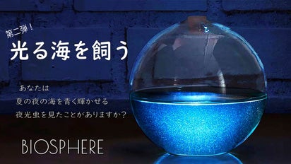光る海をお部屋に。自然の神秘を体感。発光するアクアリウムBIOSPHERE