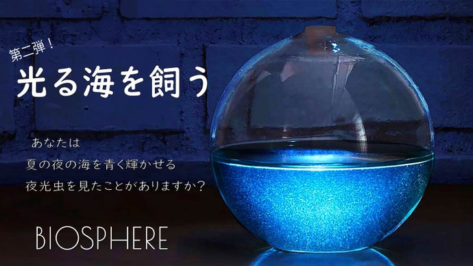 光る海をお部屋に。自然の神秘を体感。発光するアクアリウムBIOSPHERE迫力版