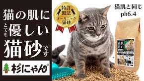 【猫砂は肌ケアの時代】TOPブリーダー推奨の「杉にゃん」に大容量パックが新登場