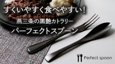 【黒艶ｘ機能性】 ずっと美味しい！元のスプーンに戻れない ｜パーフェクトスプーン
