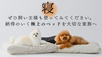人が羨むほどの贅沢な寝心地。創業60年のふとん屋と共同開発した極上の