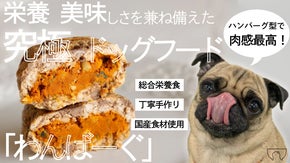 美味しい！栄養満点！ペットのための手作りハンバーグ！【わんばーぐ】
