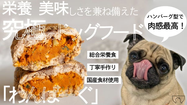 美味しい！栄養満点！ペットのための手作りハンバーグ！【わんばーぐ】